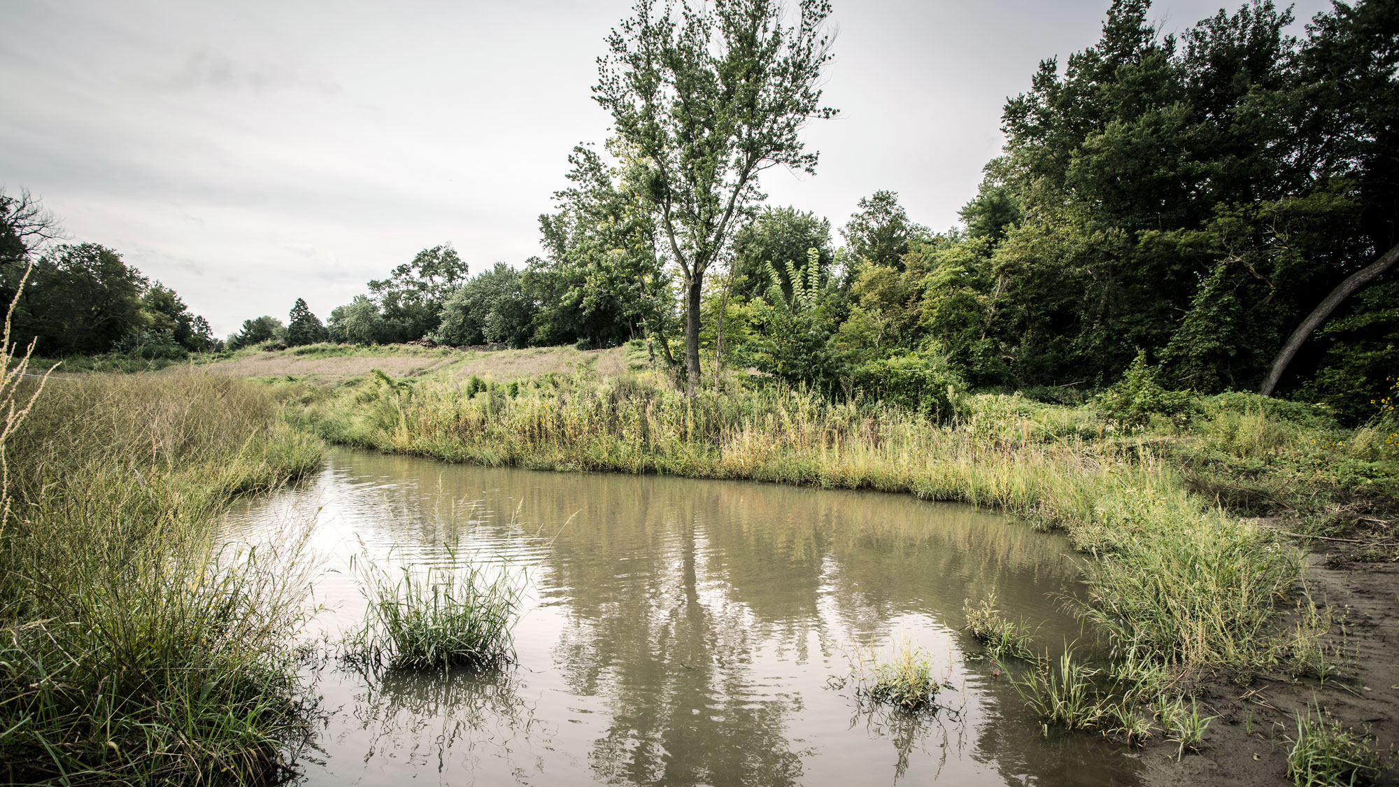 Saddle Creek Area, Green Infrastructure