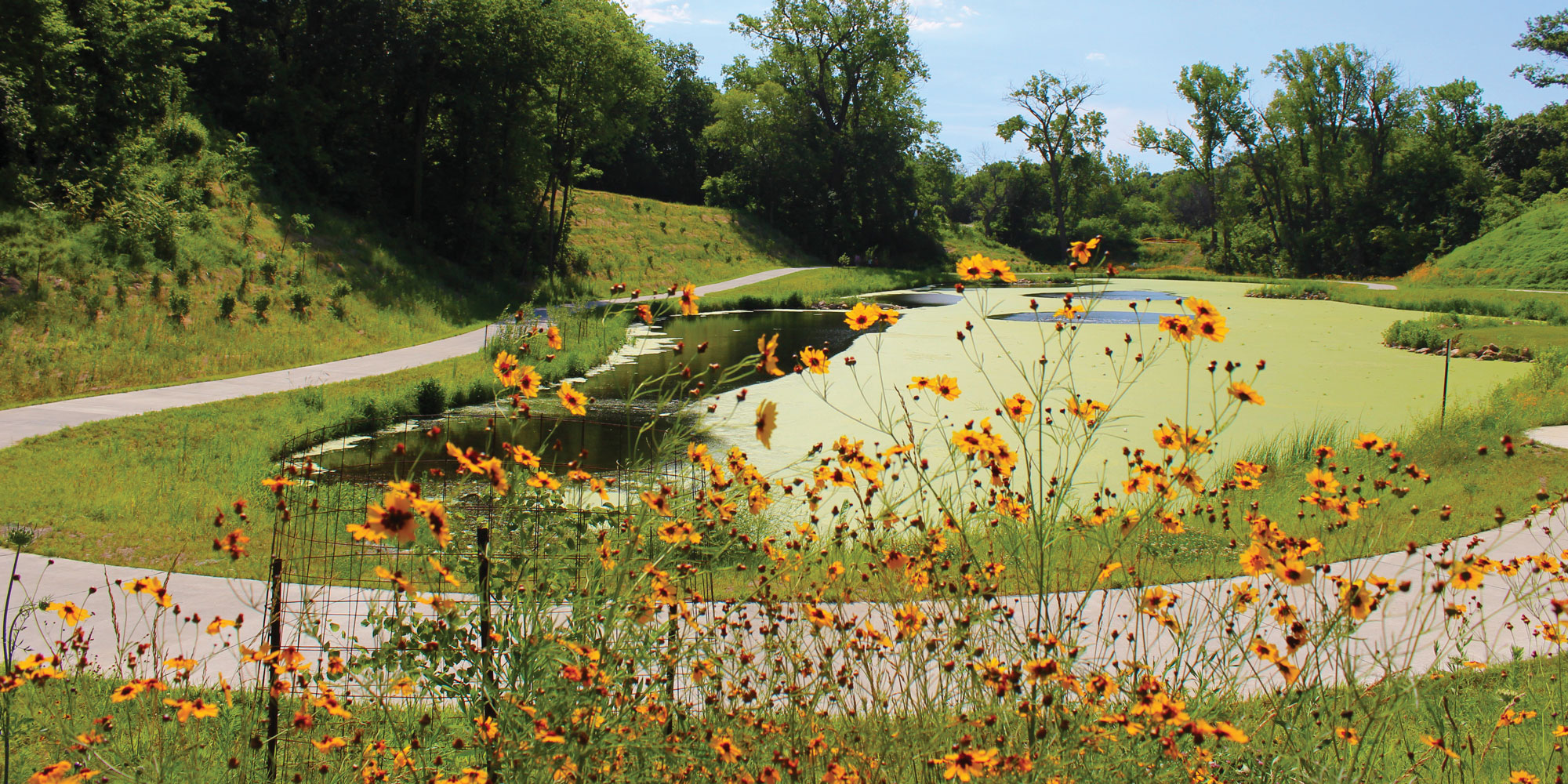 07-2017---Spring-Lake-Park-Pond-with-Sunflowers_WEB.jpg