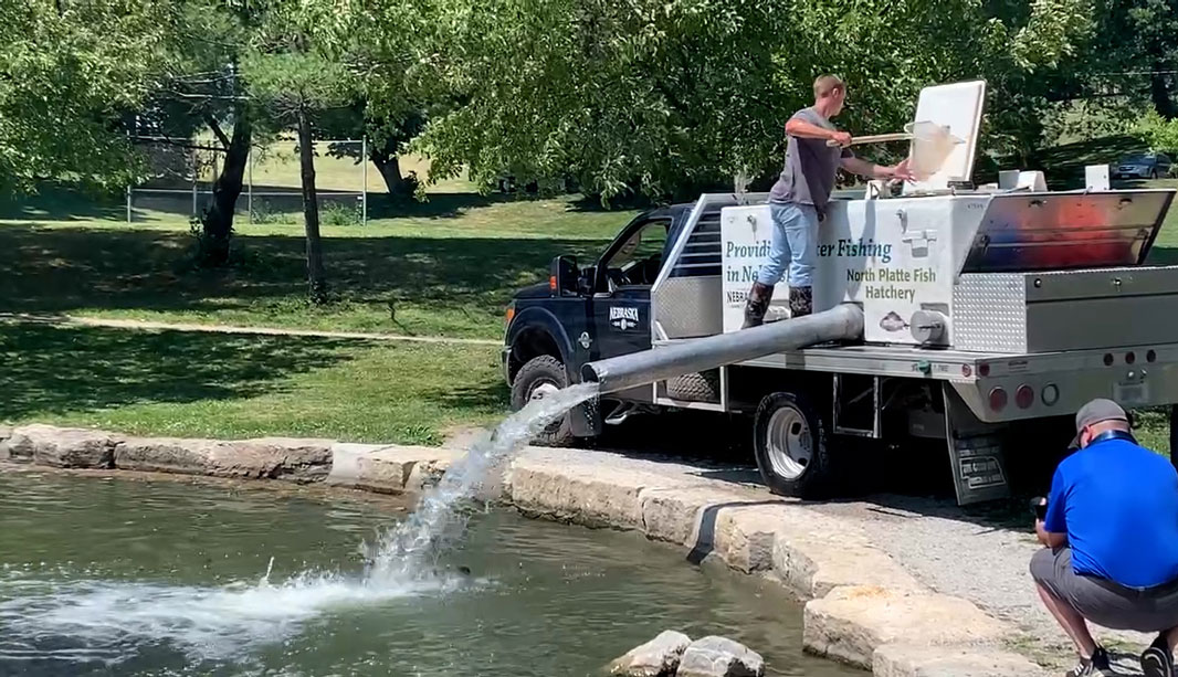 In June 2021, Nebraska Game and Parks restocked Fontenelle Lagoon and Hanscom Park pond for catch and release fishing.
